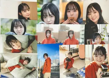 My Girl vol.42 니이 노조미 촬영 사진 37장 브로마이드 전종