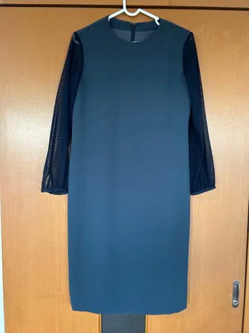 비침이 있는 긴팔 드레스