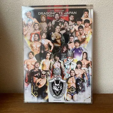 DRAGONGATE 웹폰 초레어상