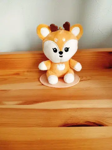 SEVENTEEN MINITEEN 조슈아 마그넷 키링