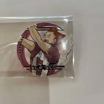 하이큐 캔뱃지 텐도 사토리