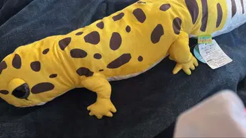 레오파의 키이짱 BIG 봉제 인형 종이 택 포함