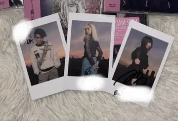 브랜디 전기 BRANDY SENKI 친필 사인 폴라로이드풍 카드 컴프