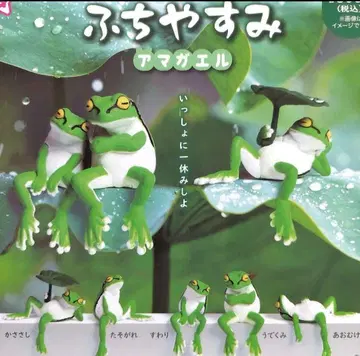 후치야스미 청개구리 전 5종 세트