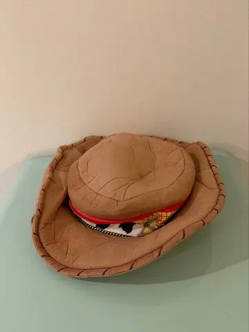 우디 카우보이 햇