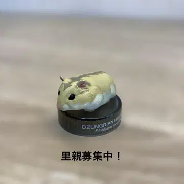 카이요도 2002 정글리안 햄스터 피규어