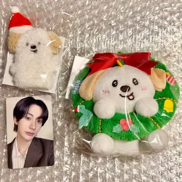 앤톤 RIIZE 109 마스코트 키링 손가락 인형 트레이딩 카드