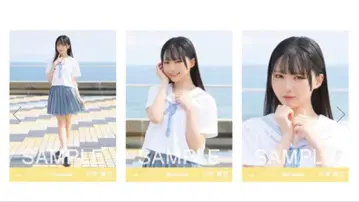 니어야 조이 이치하라 아유미 브로마이드 컴프