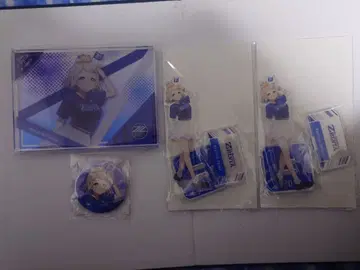 니지산지 2024 J1 콜라보 복권 마치다 치마