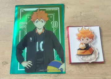 하이큐 스마일 베이스 카페 누쿠누쿠 스타일 히나타