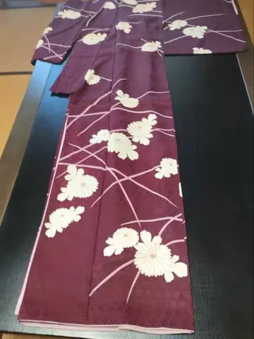 이부식 화이트국 (D17)