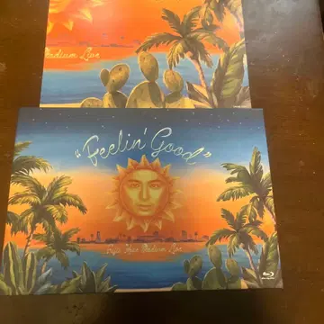 Feelin' Good 스타디움 라이브 2장 세트
