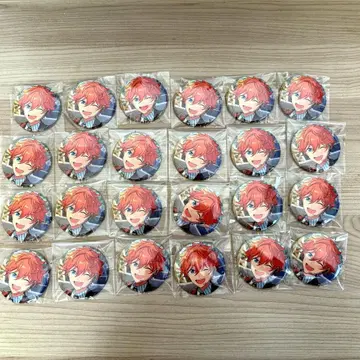 앙스타 아케호시 스바루 캔뱃지 24개