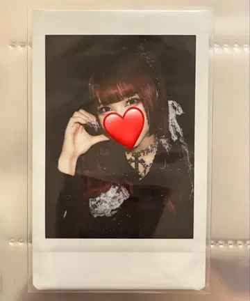 AVAM 오하라 오토하 폴라로이드