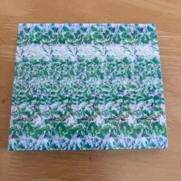 tempalay 코스트 앨범 CD