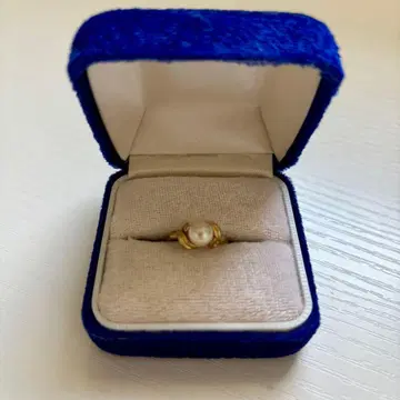 펄 반지 반지 유품 정리