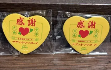 서던 올스타즈 THANK YOU SO 배지 2개 세트