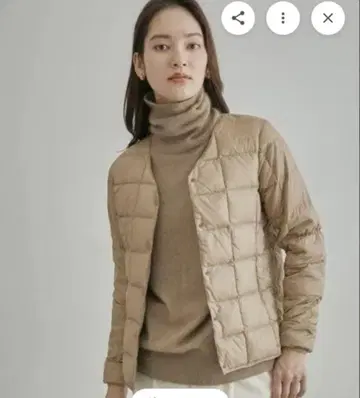 로페 별주 TAION 다운 자켓 베이지 M 사이즈 TAION 이너