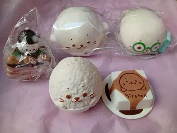 시로탄 스퀴즈 5개 세트