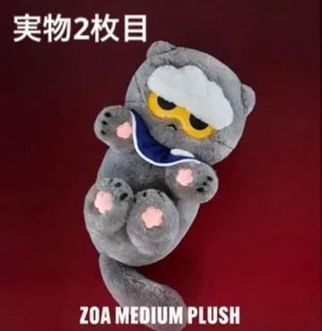 ZO&FRIENDS ZOA 미디엄 플러시 봉제 인형