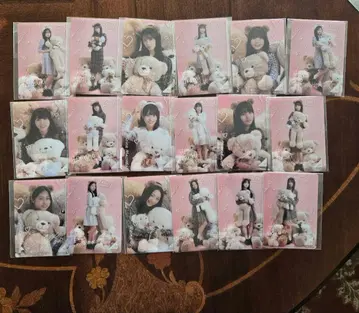 노기 box 6기 묶음 판매