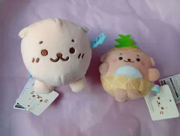 시로탄 랏코 강아지 봉제 인형 2세트