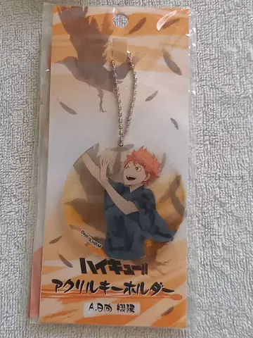 하이큐!! 아크릴 키링 히나타 쇼요