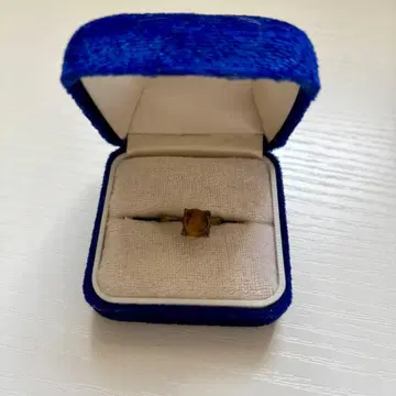 심플 브라운 링 반지 유품 정리