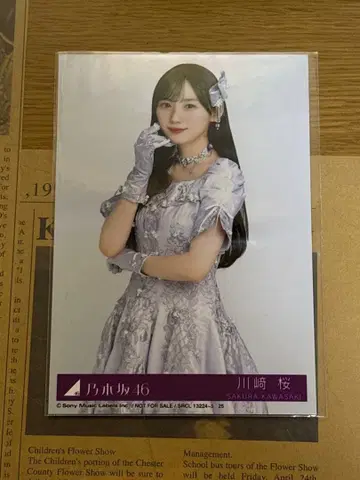 노기자카46 카와사키 벚꽃 사진