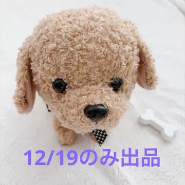 코코 물구나무 서서