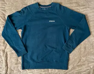 patagonia 트레이닝복