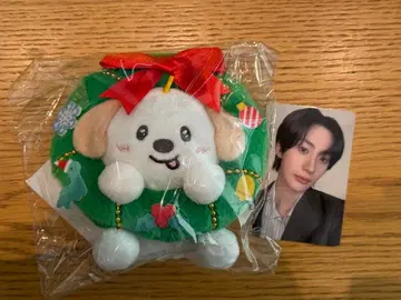 앤톤 RIIZE 109 마스코트 키링 트레이딩 카드