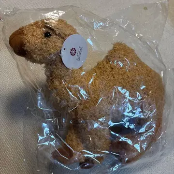 박람회 카타르 파빌리온 봉제 인형 낙타