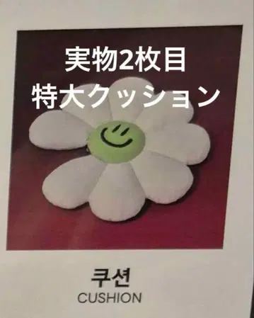 ZO&FRIENDS cushion 특대형 쿠션 G-DRAGON