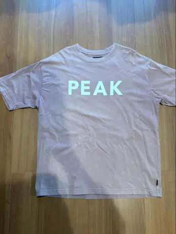 스노우피크 snow peak JOURNAL STANDARD T셔츠 L