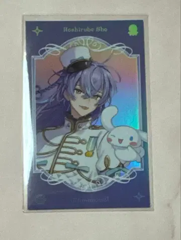 호시미치 쇼 랜덤 포토풍 카드