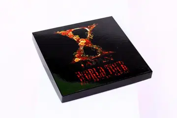 X JAPAN WORLD TOUR 2015-2016 팜플렛 BOX