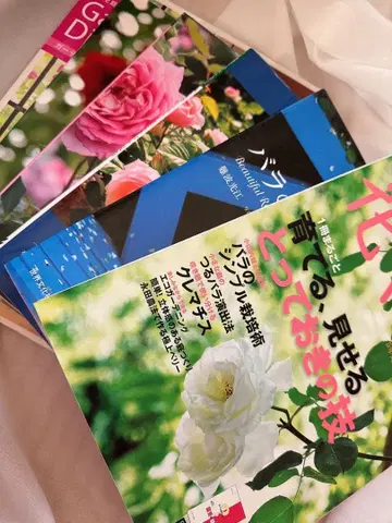 꽃과 생활 장미 정원 가꾸기 등 장미 관련 6권 세트