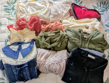 액시즈팜/리즈리사/의류 일괄 판매