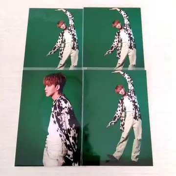 MADKID 마도키 브로마이드 YUKI