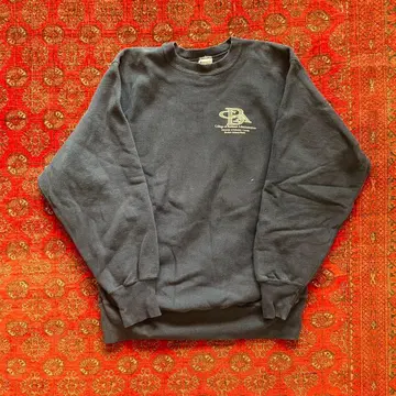 '96 Champion Reverse Weave sweat shirt