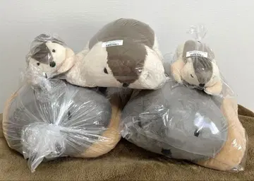 마모트 마모치오모푸쿠의 페탄&마모 스모 50cm, 35cm, 18cm