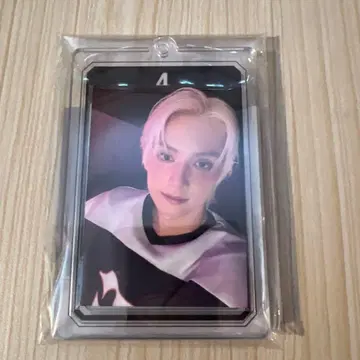 SEVENTEEN'S HOME 2025 포토카드 홀더 준