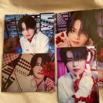 호리에 슌 사진 브로마이드 세트 춘금의 사스케