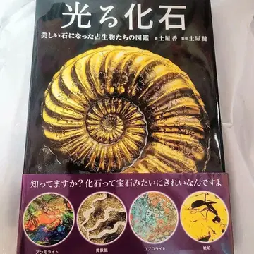 빛나는 화석 아름다운 돌이 된 고생물들의 도감