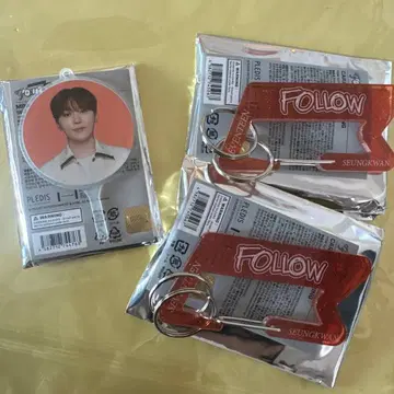 세븐틴 FOLLOW TO JAPAN 카라비너 미니 피켓 승관