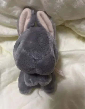 시나다 봉제 인형 레어