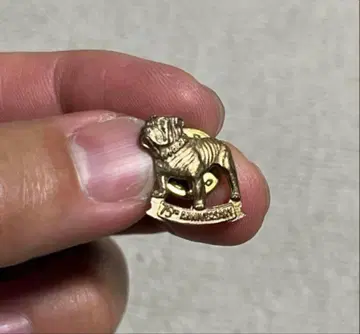 Mack truck 맥트럭 75주년 기념 빈티지 핀 텐더 로인