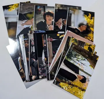 무대 양달 속에서 쿠리하라 타이거 브로마이드 사진