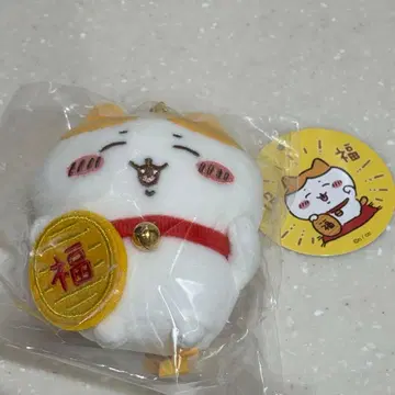 치이카와 (먼작귀) 초복 마스코트 하치와레 치이카와 랜드